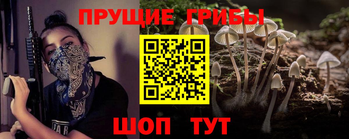 Псилоцибиновые грибы мухоморы  Псилоцибиновые грибы Psilocybine cubensis  Салават  Вход с VPN 